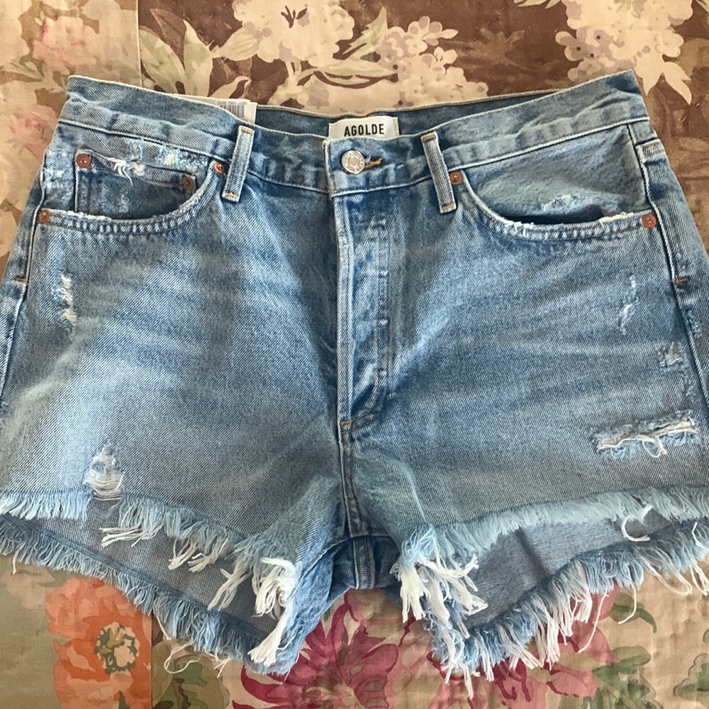 NWT AGOLDE Parker Denim Shorts in Swapmeet size 29